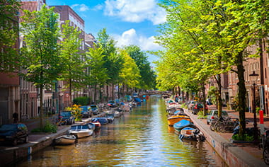 Tree-lined canals of Amsterdam